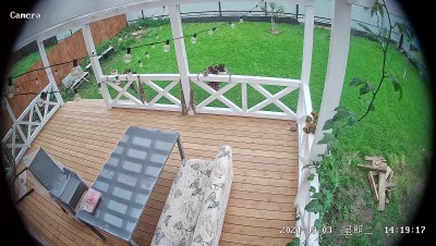 202409031418151725355095788 (1).jpg (418.36 КБ) 2060 просмотров 202409031418151725355095788 (1).jpg