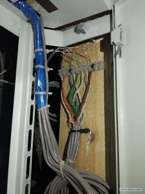 12452556[1].jpg